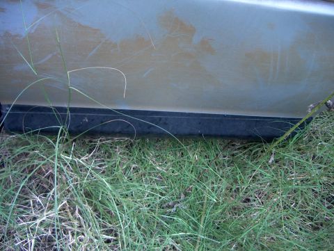 1979 Ford Bronco - A close-up view of a vehicle's side panel, partially obscured by grass.