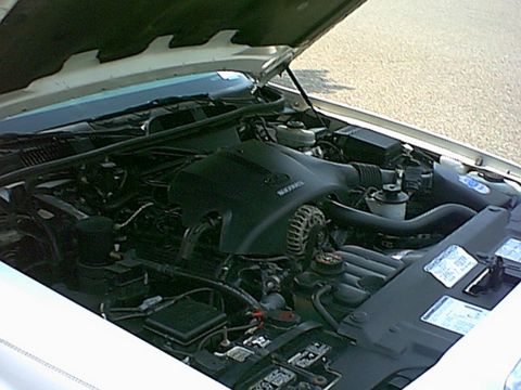 1998 Ford Crown Victoria - The engine compartment of a vehicle is shown with the hood open. Some text is visible on a label.