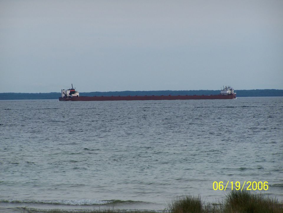 cargo ship moving on the water with a tree line in the background
