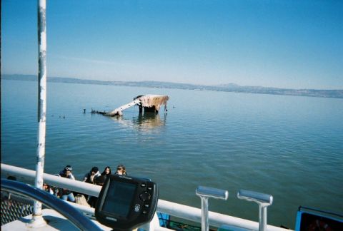 1991 Ford Bronco - A partially submerged shipwreck rests in the water under a clear blue sky.