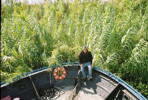 1991 Ford Bronco - A man sits on the front of a boat, which is surrounded by dense, tall reeds.