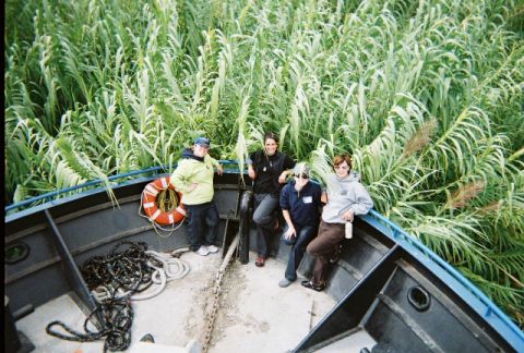 1991 Ford Bronco - People on a boat deck with dense reeds in the background.