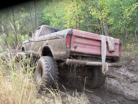 1978 Ford Bronco - A red pickup truck drives on a dirt path surrounded by vegetation.