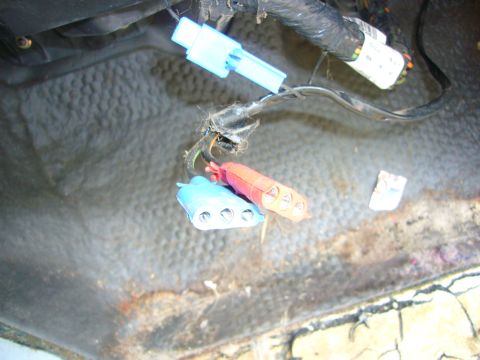 2001 Ford Crown Victoria - Close-up view of a vehicle's wiring harness, blue and red electrical connectors and some visible text on a label.