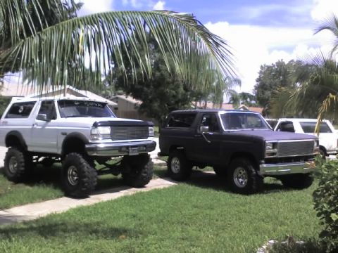 1995 Ford Bronco - Two lifted Ford Broncos are parked on a grassy lawn under palm trees.