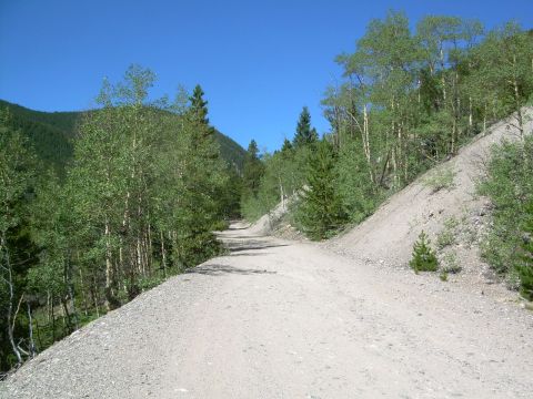 1996 Jeep Cherokee - A dirt road ascends a mountain slope, flanked by trees and clear blue sky.