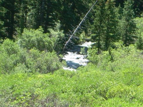 1996 Jeep Cherokee - river in the distance