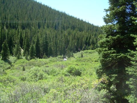 1996 Jeep Cherokee - A white SUV is visible in a scenic mountain valley surrounded by dense pine trees and green undergrowth.