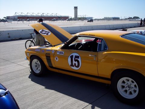 1971 Ford Mustang - Les W's Boss. Soon to be riding atop a Ford C8000 Ramp truck painted to match.
