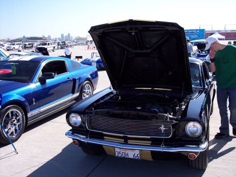 1971 Ford Mustang - A black classic car with gold stripes and a license plate reading 350H 66 is displayed with its hood open.