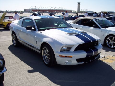 1971 Ford Mustang - A white 2005 Ford Mustang GT500 with blue racing stripes is parked at an outdoor event.