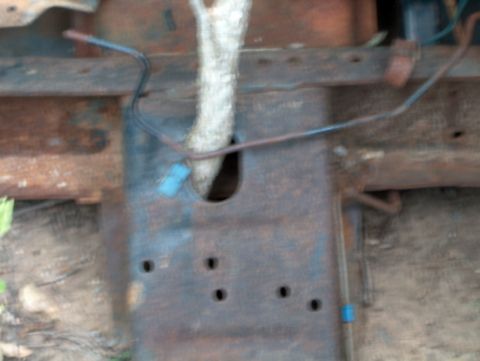 1979 Ford Bronco - A tree branch grows through the rusted frame of a vehicle in a junkyard.