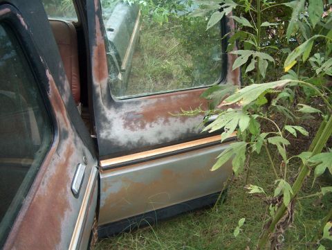 1979 Ford Bronco - The interior and driver's side door of a heavily rusted 1978 Ford Bronco are visible, with vegetation encroaching.