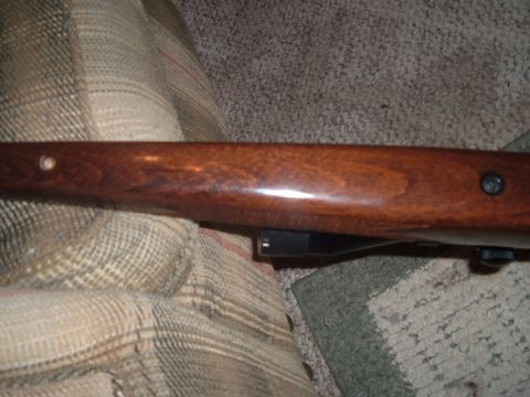 1919 Yugo Vega - Close-up view of a wooden rifle stock, showing its grain and a visible screw head.