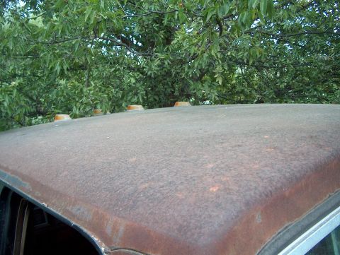 1979 Ford Bronco - Close-up of a heavily rusted vehicle roof with amber marker lights, set against a backdrop of green trees.