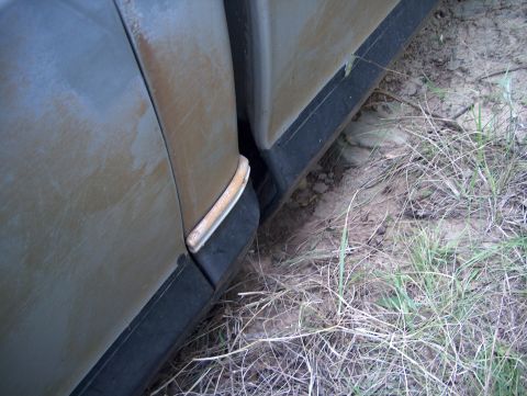 1979 Ford Bronco - A close-up view of a dirty vehicle's side panel and trim, partially obscured by dry grass and dirt.