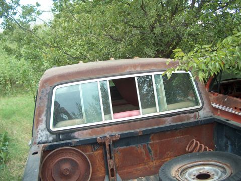 1979 Ford Bronco - Rear view of a rusty pickup truck cab and bed, with a spare tire visible in the cargo area.