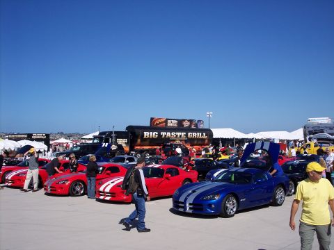 1971 Ford Mustang - Several red and blue Dodge Vipers are displayed under a clear blue sky.