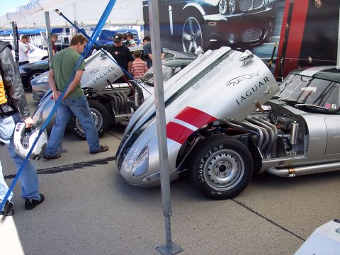 1971 Ford Mustang - Two Jaguar race cars are displayed with their hoods open, revealing their engines and exhaust systems.