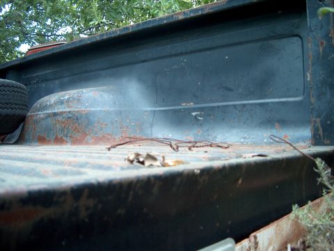 1979 Ford Bronco - The image shows the interior of a truck bed with a spare tire and visible rust. The album claims it is a 1979 Ford Bronco.