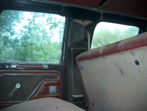 1979 Ford Bronco - The interior of a vehicle shows signs of age and neglect, with greenery encroaching from the outside.