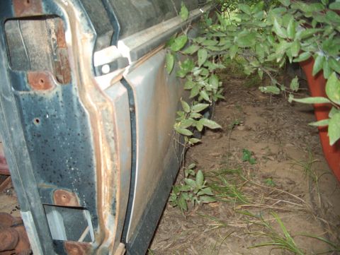 1979 Ford Bronco - Close-up of a rusted vehicle door frame with overgrown vegetation and dirt.