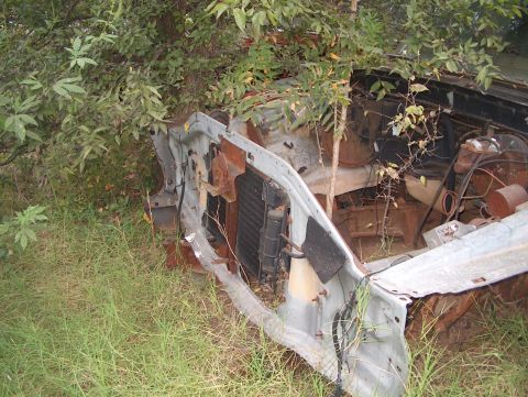 1979 Ford Bronco - The engine bay of a heavily rusted vehicle is visible, with plants growing around and through it.