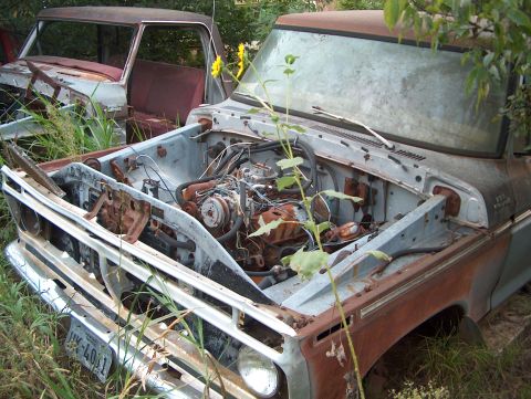 1979 Ford Bronco - Two old trucks sit in a yard, one with its hood open revealing the engine and the other partially visible behind it.