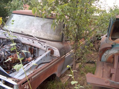 1979 Ford Bronco - A derelict pickup truck sits in a junkyard, its engine compartment open and showing signs of decay.