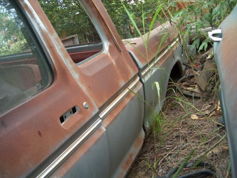 1979 Ford Bronco - The side of a rusty 1979 Ford Bronco is visible, partially obscured by weeds and another vehicle.