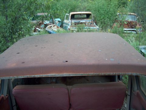 1979 Ford Bronco - Multiple abandoned vehicles sit in a junkyard, overgrown with weeds and foliage.