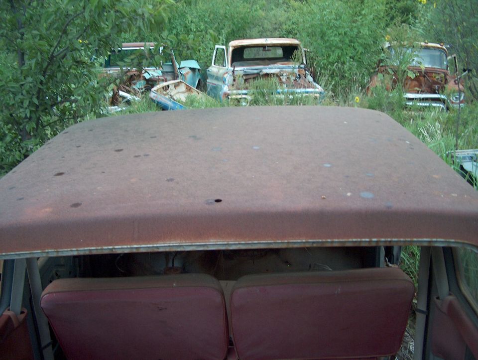 Rusty vehicle interior with red seats, viewed from above. Overgrown vegetation surrounds multiple derelict vehicles