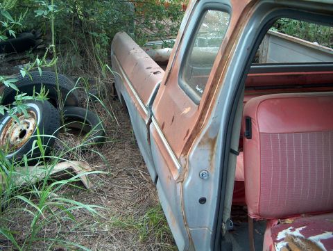 1979 Ford Bronco - This old pickup truck sits abandoned, overgrown with weeds and showing significant rust.