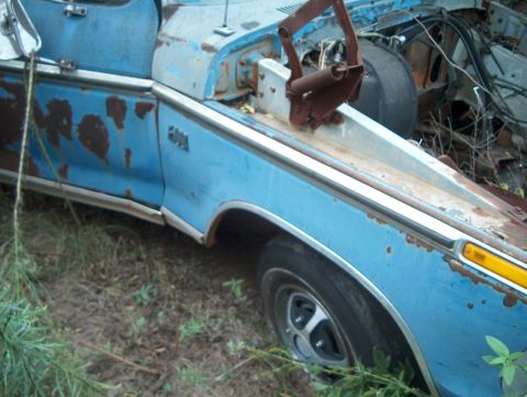 1979 Ford Bronco - Side view of a weathered 1979 Ford Bronco with visible rust and overgrown vegetation.