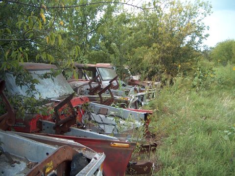 1979 Ford Bronco - A collection of abandoned vehicles sits in a field, partially obscured by foliage and tall grass.