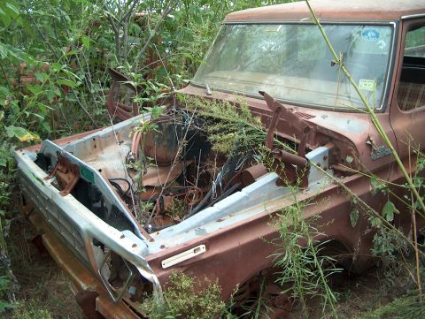 1979 Ford Bronco - This 1979 Ford Bronco is in a junkyard, heavily overgrown with weeds and vegetation, with its hood open.