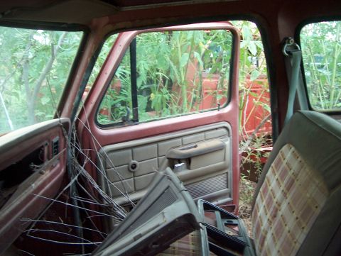 1979 Ford Bronco - The interior of a weathered vehicle shows signs of neglect with overgrown plants visible through the open door.