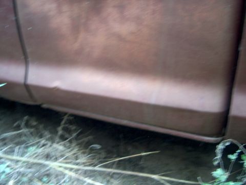 1979 Ford Bronco - The side panel of a 1979 Ford Bronco shows rust and a dent, indicating its current state in a junkyard.