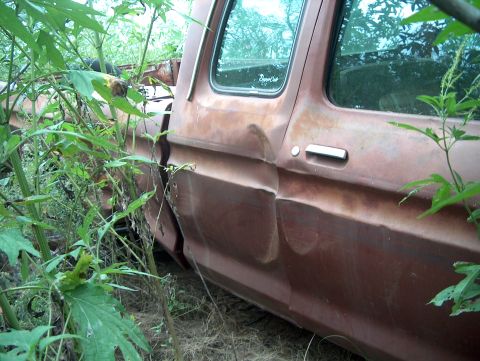 1979 Ford Bronco - Side view of a rusty 1979 Ford Bronco, partially obscured by vegetation.