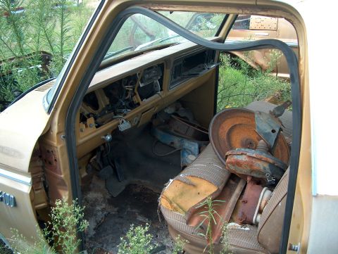 1979 Ford Bronco - The interior of a gold pickup truck shows torn seats and exposed dashboard components, with rusty parts on the passenger side.
