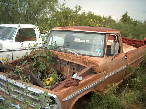 1979 Ford Bronco - A weathered pickup truck sits in a junkyard, its engine bay overtaken by nature, with another vehicle visible behind it.