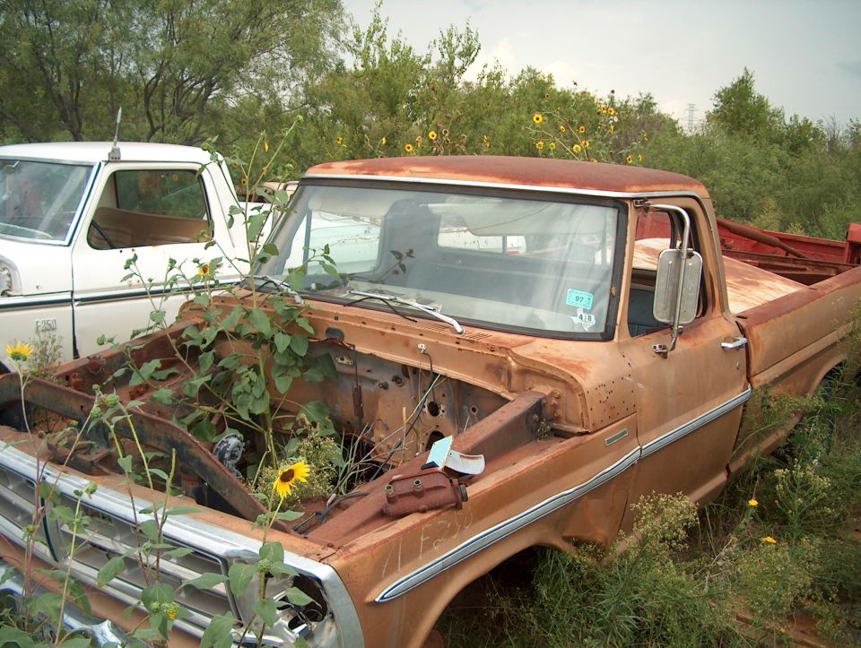 Rusty brown pickup truck, front passenger side view, engine bay filled with plants, parked next to a white truck