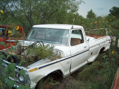 1979 Ford Bronco - This 1973 Ford F-Series pickup truck sits abandoned in a field with other vehicles.