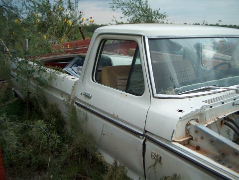 1979 Ford Bronco - A white pickup truck, identified as an F-250, sits abandoned and overgrown in a junkyard.