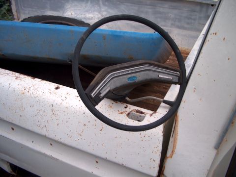 1979 Ford Bronco photo
