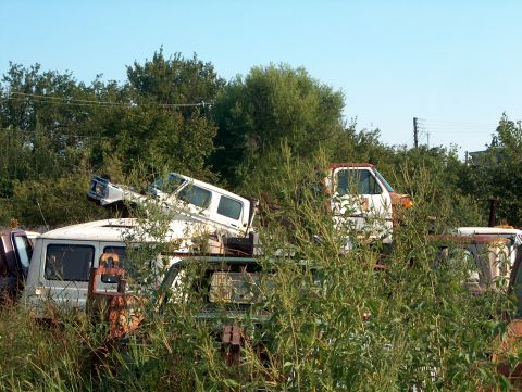 1979 Ford Bronco photo