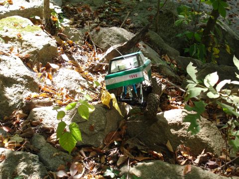 1996 Ford Bronco - An RC Ford truck navigates a rocky, wooded path with fallen leaves.