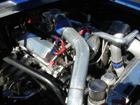 1998 Ford Crown Victoria - modified V8 engine bay with polished aluminum intake piping and red-and-blue braided fittings in a blue car.