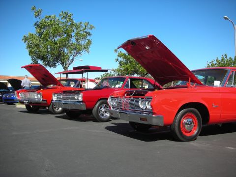 1998 Ford Crown Victoria - Three red classic muscle cars line up with their hoods raised under a clear blue sky at a car show.