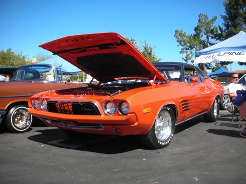 1998 Ford Crown Victoria - orange Dodge Challenger sits with its hood raised, exposing the engine, at a sunny outdoor car show.